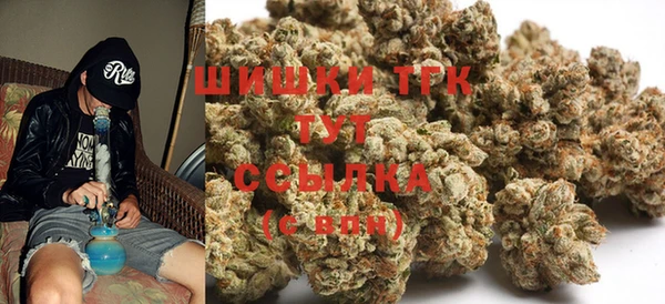 стаф Абаза