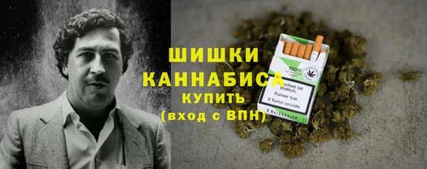стаф Абаза
