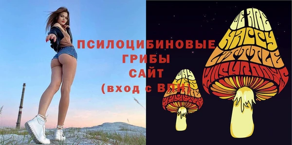 дурь Абинск