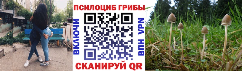 Псилоцибиновые грибы Psilocybine cubensis  Полтавская 